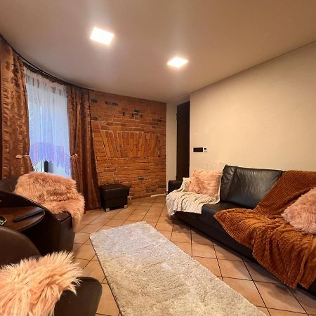 Apartaments In The City Centre 考纳斯 外观 照片
