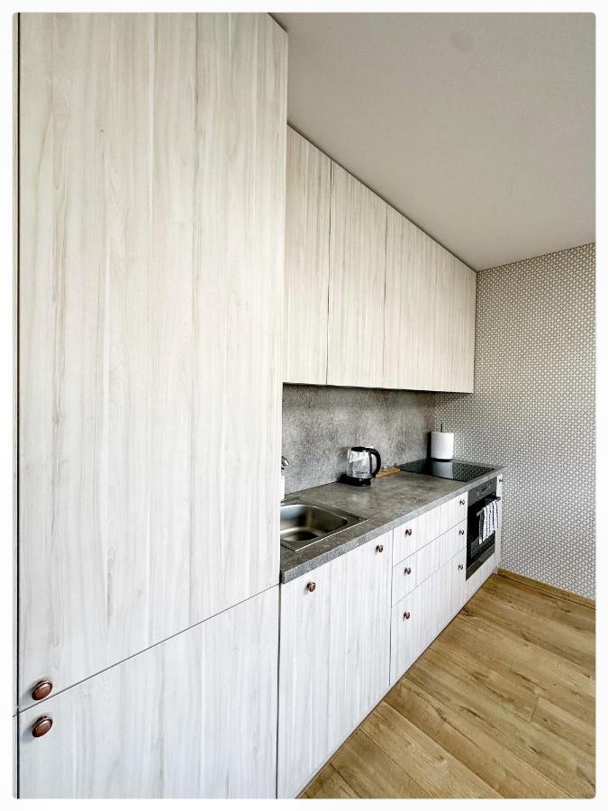 Apartaments In The City Centre 考纳斯 外观 照片