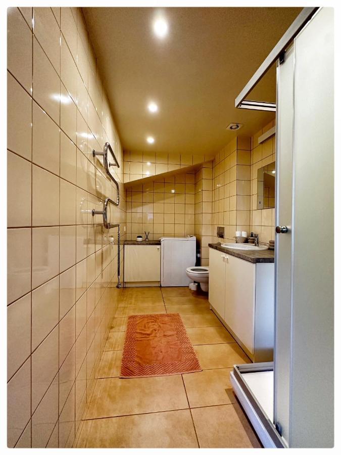Apartaments In The City Centre 考纳斯 外观 照片