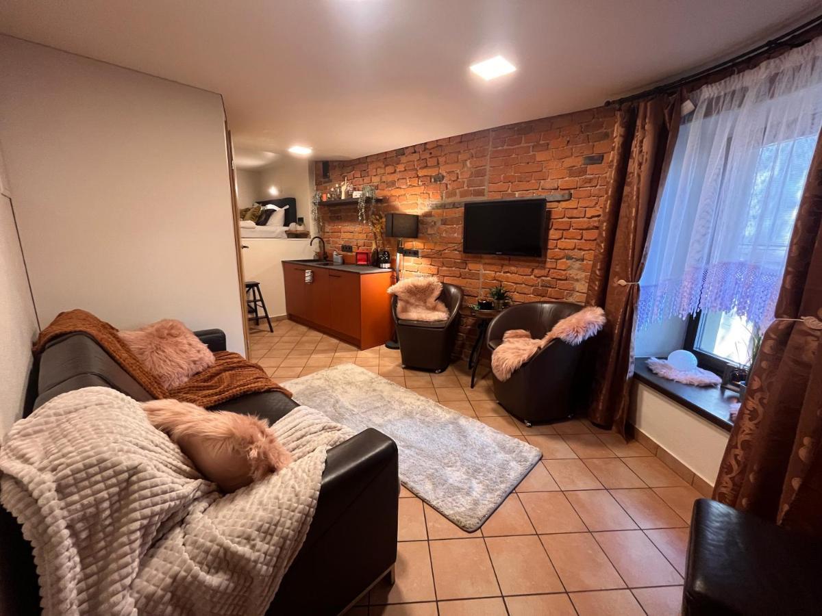 Apartaments In The City Centre 考纳斯 外观 照片